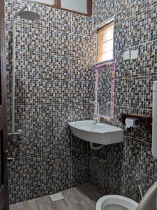 Stone TownFlamingo Guest House ZNZ的一间带水槽和卫生间的浴室