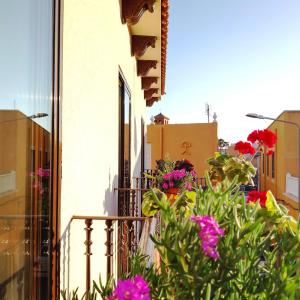 塔韦尔纳斯沙漠花园乡村之家酒店的建筑里带鲜花的阳台