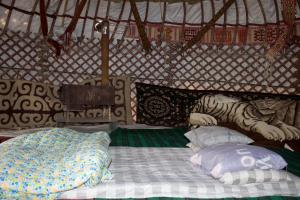 NurotaYurt Stay Family Khansar的蒙古包里的一张床位,上面有一只老虎