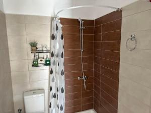 卡斯特拉基翁Paradise of Meteora B的带淋浴和卫生间的浴室