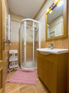 里斯本Luxury Apartments in Expo的带淋浴、盥洗盆和镜子的浴室