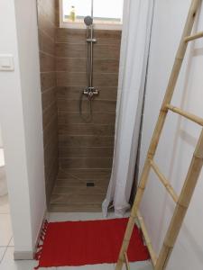 法勒Le spot的一间铺有红色地毯的带淋浴的浴室