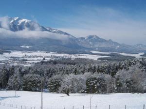 布莱堡Ferienwohnung für 7 Personen ca 70 qm in Bleiburg, Kärnten Unterkärnten的远处的雪覆盖的山,有树木和雪