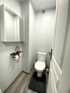 尼斯Charmante T3 sur la Côte d’Azur的一间小型浴室,配有白色的卫生间和镜子