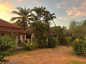 班拉克海滩苏梅岛花园度假酒店的庭院前有棕榈树的房子