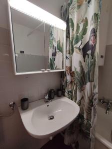 格拉茨Wohnung Graz zentrale Lage的浴室设有水槽、镜子和浴帘