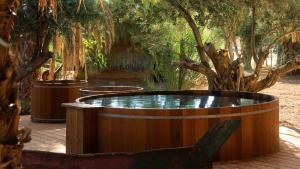 ẔofarMoa Living的树木繁茂的庭院中间的热水浴池