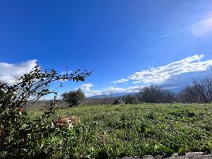 BussoResidence San Martino的一片草地,天空在背后