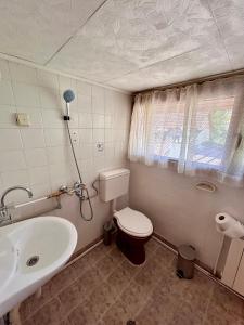 里巴里卡Luylyana Guesthouse的一间带卫生间和水槽的浴室