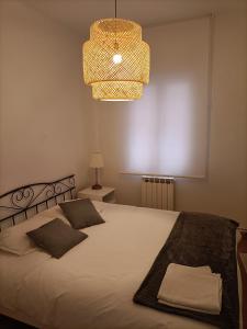 洛格罗尼奥Céntrico apartamento reformado de dos habitaciones的一间卧室配有带灯和吊灯的床
