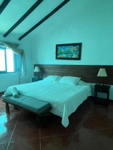 莱瓦镇VILLA LEWANA 2的一间卧室设有一张大床和蓝色的墙壁