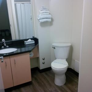 奥克维尔奥克维尔公寓及会议中心酒店的一间带卫生间和水槽的浴室