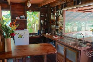 Dos BrazosChalet at the river's edge的厨房配有水槽和冰箱
