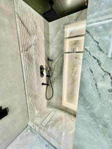 新德里EMPIRE PLATINUM SUITES的带淋浴的浴室