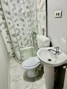 蒂米什瓦拉Serbian House的浴室配有卫生间、盥洗盆和淋浴。