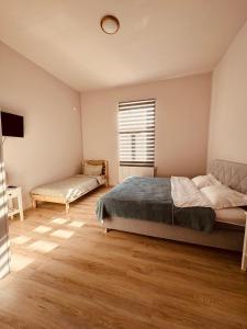 蒂米什瓦拉Serbian House的一间卧室配有一张床、一张沙发和一个窗口
