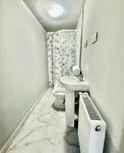 蒂米什瓦拉Serbian House的白色的浴室设有水槽和卫生间。