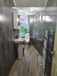 格拉斯哥Entire, lovely apartment with a bath tub的一间带水槽和卫生间的浴室以及窗户。