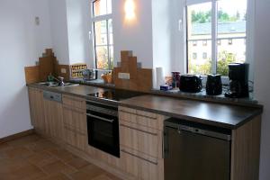 施莱茨Pension und Ferienwohnung am Teich的厨房配有水槽和台面