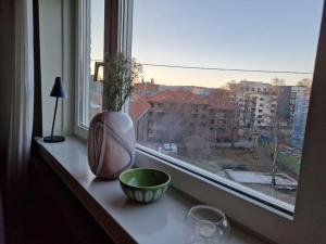 奥斯陆Private Apartment in Oslo的窗台,有植物,碗和玻璃杯