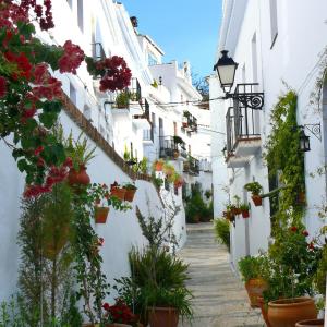 贝莱斯Las 2 Lunas的白色建筑中花卉和盆栽的小巷