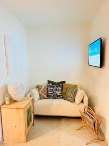 滨海卡瓦莱尔Appartement Sea Shell的带沙发和电视的客厅