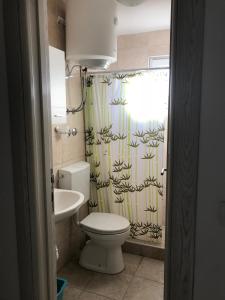 布德瓦Budva, Jaz, apartmani DIF的一间带卫生间和淋浴帘的浴室
