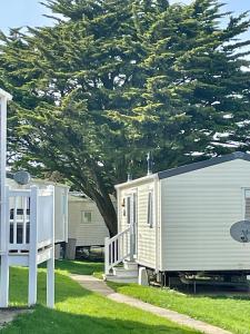 纽基Newquay Bay Resort Sandy Toes - Hosting up to 6的停在树旁的移动房屋