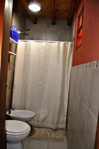 圣卡洛斯-德巴里洛切Cabaña en Villa Los Coihues的一间带卫生间和淋浴帘的浴室