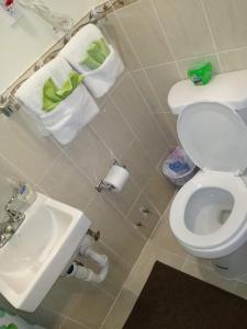 布朗克斯Two Bedroom Apartment - North East Bronx的浴室配有卫生间、水槽和毛巾。