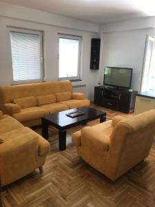 斯科普里Guest House Sani的客厅配有两张沙发和一台电视机