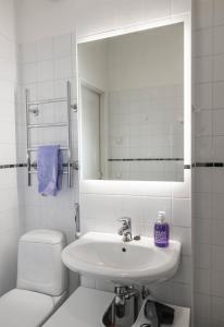 赫尔辛基Design stay in the heart of Punavuori的一间带水槽、卫生间和镜子的浴室