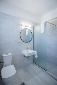 瓦西里科斯蓝色地平线公寓的一间带卫生间、水槽和镜子的浴室