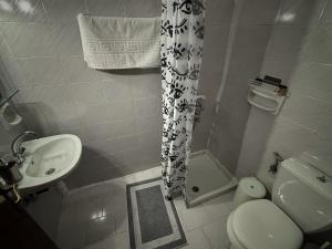 Anilio PelionΛευκή Καμέλια的浴室设有卫生间水槽和淋浴帘