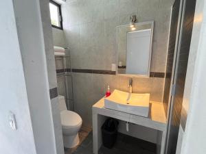 塔斯科·德·阿拉尔孔ÁRBOL DE LA VIDA的一间带水槽、卫生间和镜子的浴室
