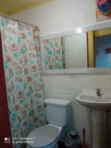 奇廉Hostal Familiar 2.0的一间带卫生间和水槽的浴室