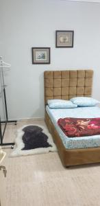 艾恩HOUSE IN AL AIN - 3的卧室配有一张床,地板上放着一只猫