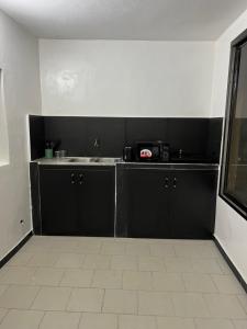 达喀尔Le cocon by sdm的厨房配有黑色橱柜和水槽