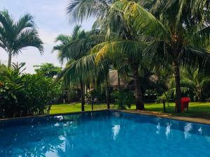 El ViejoThe captains iin的一座种植了棕榈树的蓝色游泳池