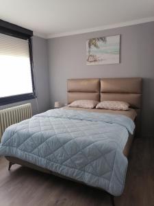 皮罗特Kingston的一间卧室配有一张带蓝色棉被的床