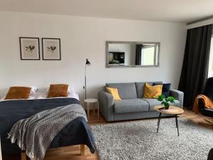 奥卢2BR big Apartment, free parking in the street, Allitie 8的一间卧室配有一张床、一张沙发和一面镜子