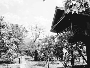 考索竹楼酒店的黑白相间的房屋和树木