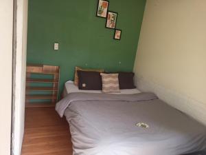 大叻Dalat Inn ez home的绿墙客房的两张床