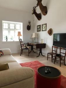 希勒勒Cozy, quiet guest house perfect for business or pleasure的带沙发和平面电视的客厅