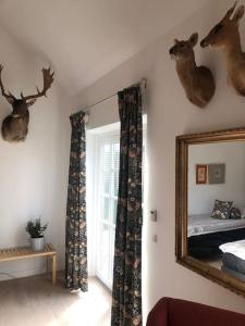 希勒勒Cozy, quiet guest house perfect for business or pleasure的墙上有镜子和鹿头的房间