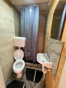 AndrijevicaBungalov Perovic的一间带卫生间和水槽的小浴室