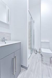布赖尔利希尔Modern and Bright 1 Bed Apartment Dudley的白色的浴室设有卫生间和水槽。