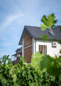 包道乔尼托毛伊Domaine Edegger - Organic Winery Badacsony的黑色屋顶的白色房子