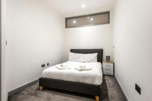 唐克斯特Budget 1 Bed Apartment in Central Doncaster的卧室配有一张床,墙上设有镜子
