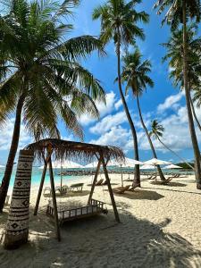 图鲁斯杜Samura Maldives Guest House Thulusdhoo的棕榈树和海洋海滩上的吊床